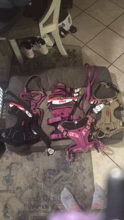 Brand New XL Kong Harnesses, Handled Collars, & Matching Leashes