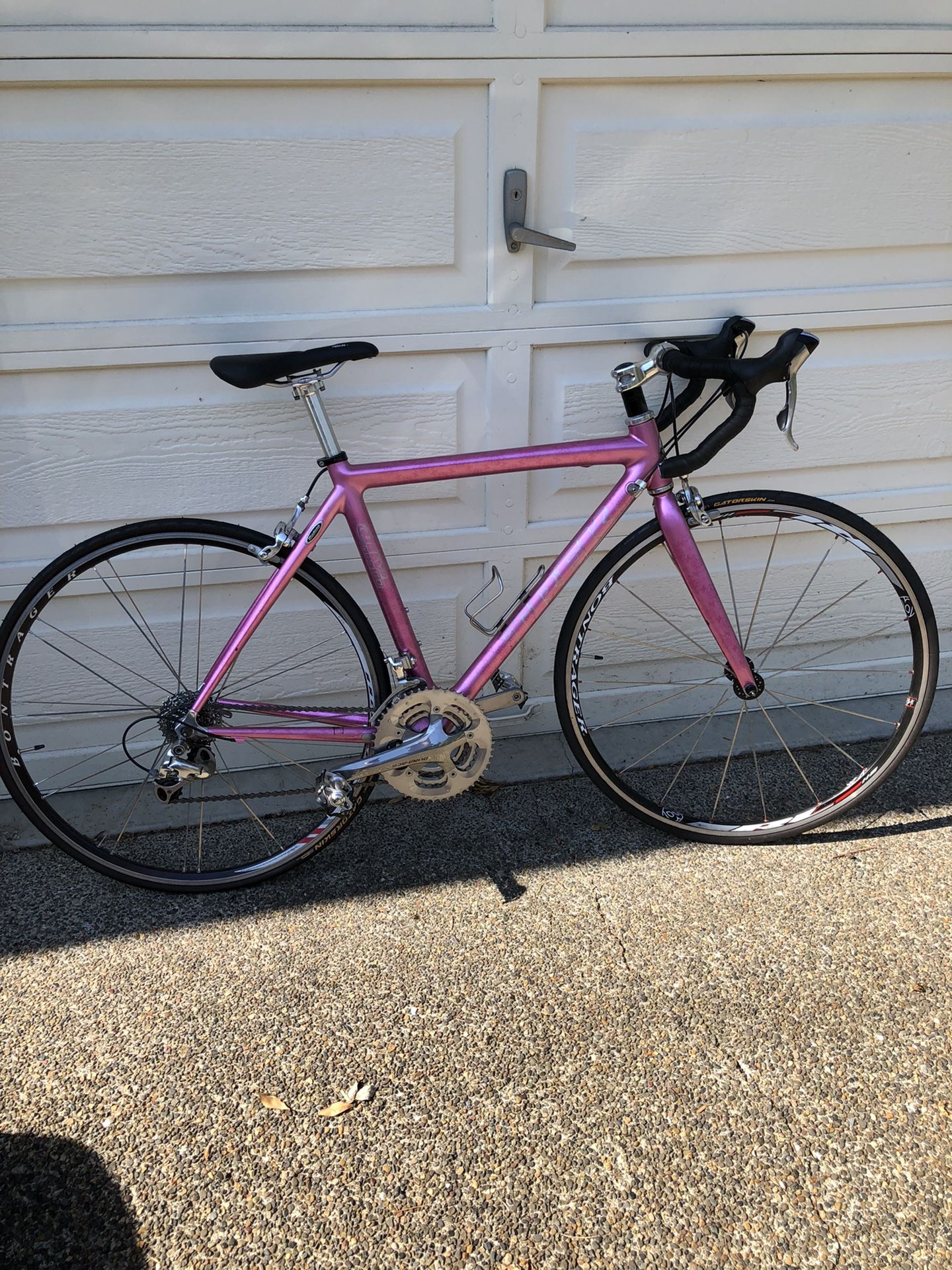 Trek Madone Project One Bike