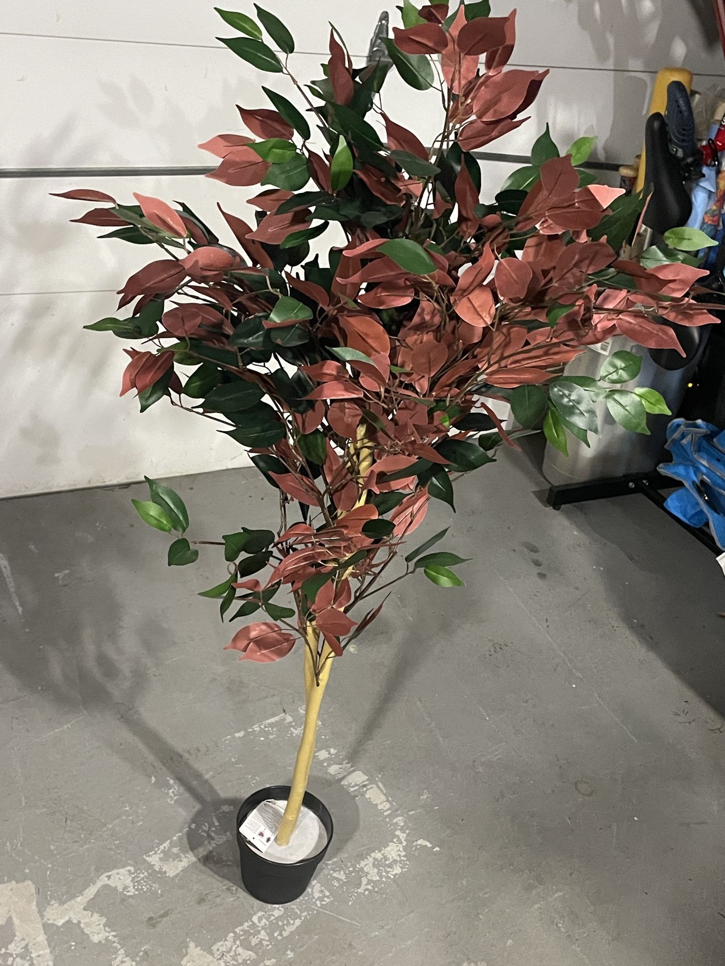 Decor Plant Red/ Green