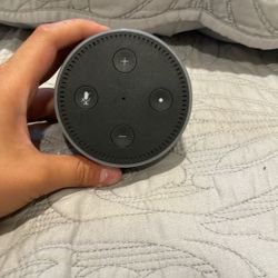 Amazon speaker