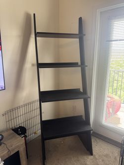 Ladder Shelf