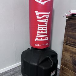 Punching Bag /freestanding Everlast Elite