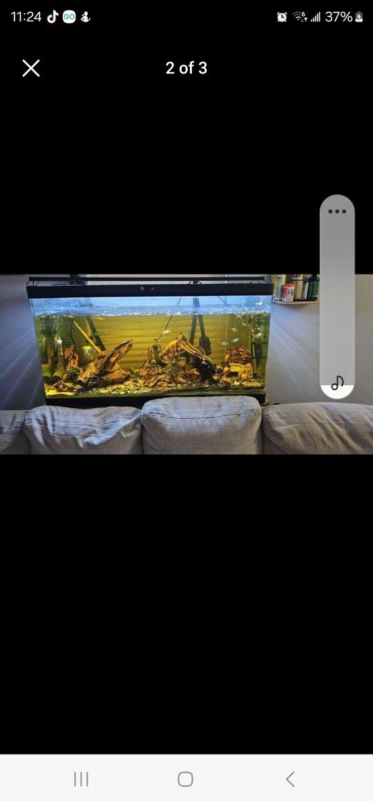 Complete Fish Tank 