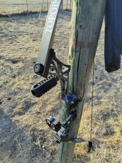 Bow and arrow for sale