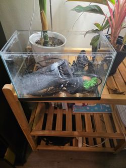 Fish tanks and stand with supplies