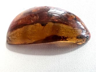 Beautifully polished brooch of natural amber, ancient, fossilized tree resin. $180 or best offer.