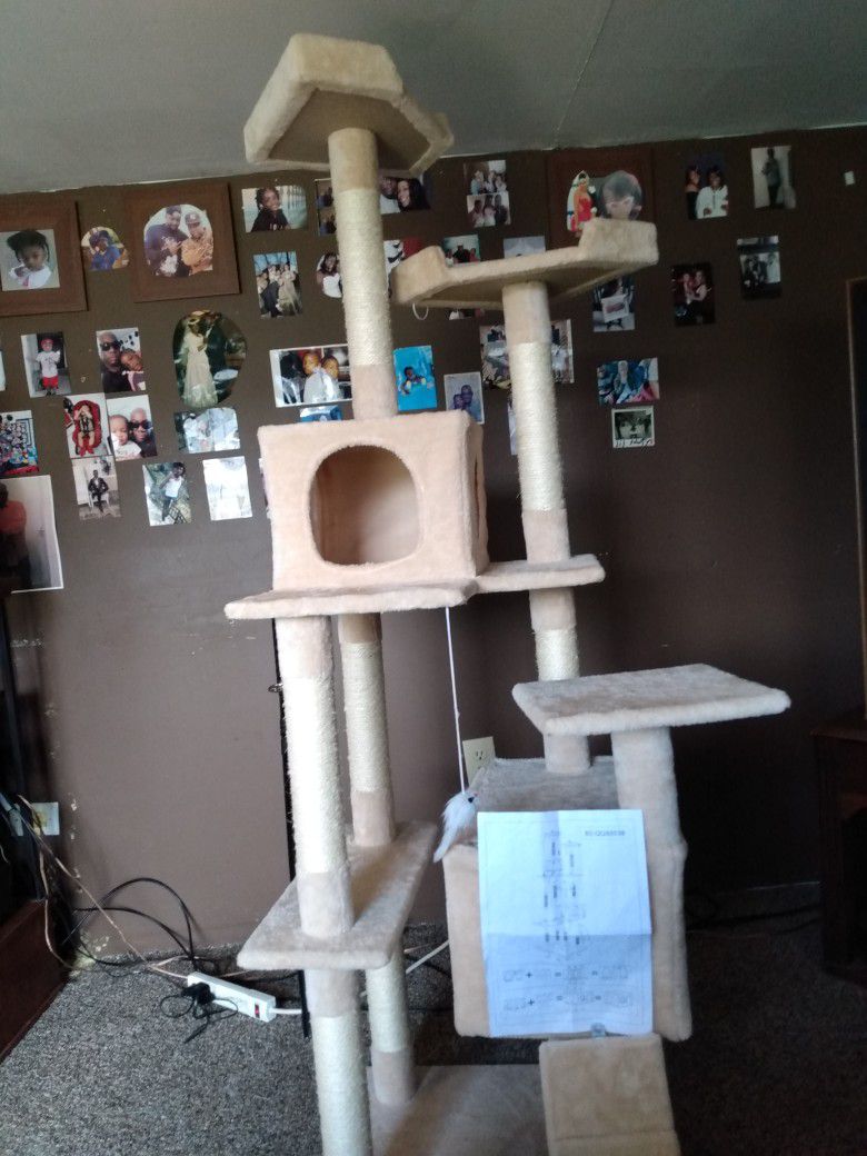 Cat Tower Brand New $80
