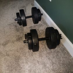 Dumbells Weights