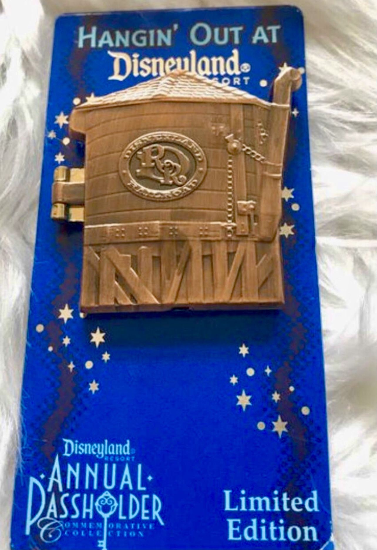 Disney Hangin’ Out at Disneyland Pin