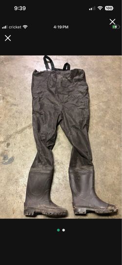 Waders 10