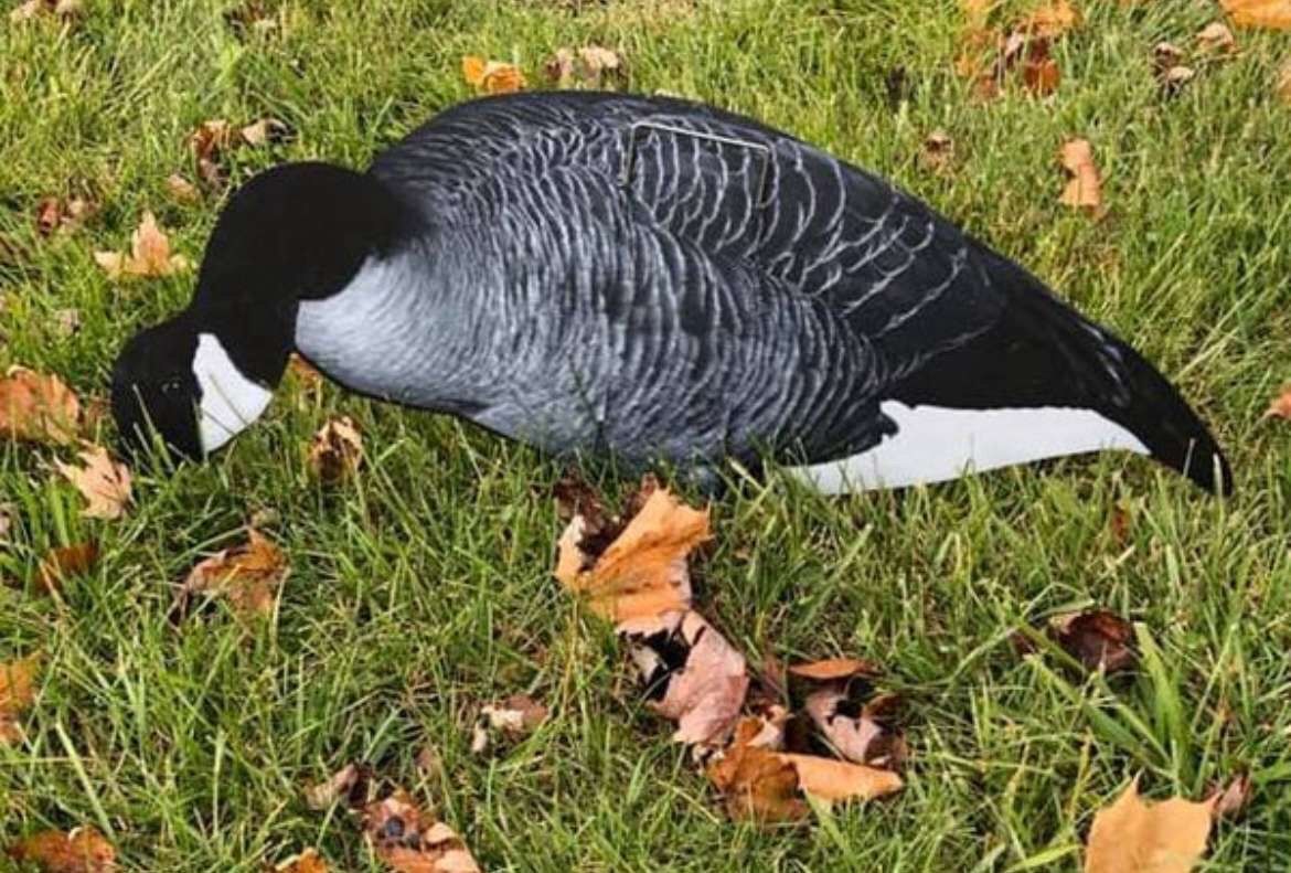 Silhouette Goose Decoys