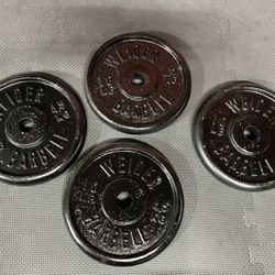 10 Lb Standard 1 Inch Hole Weight Plates