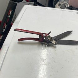 Shears 