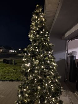 9ft Pre Lit Tree With Frost And Pine Cone