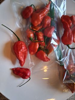 Pepper 🌶