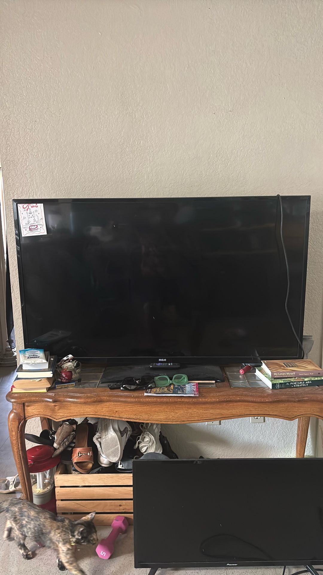 RCA Tv 55 Inc