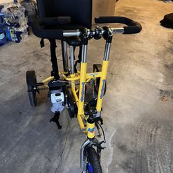 Adaptive Tricycle