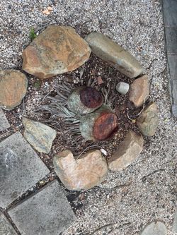 Landscape/hardscape