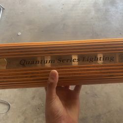 Quantum Series Lighting