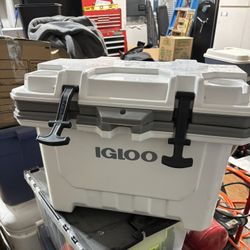 Igloo Cooler 