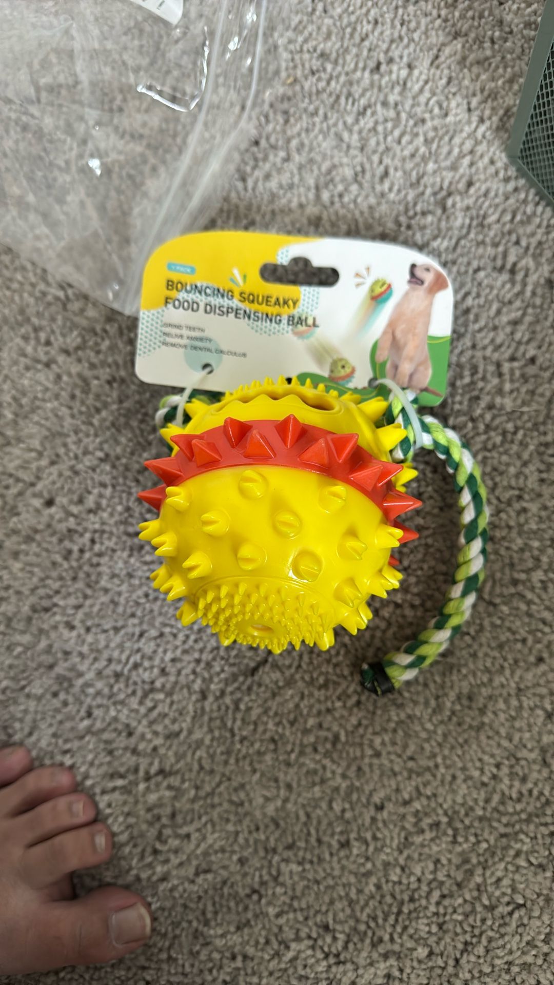 New Dog Toy
