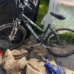 Mountain Bike