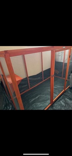 Catio