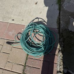 100ft Air Hose 