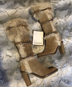 ssica” Camel Suede Womens Tall Boots 👢size 6 •NEW•