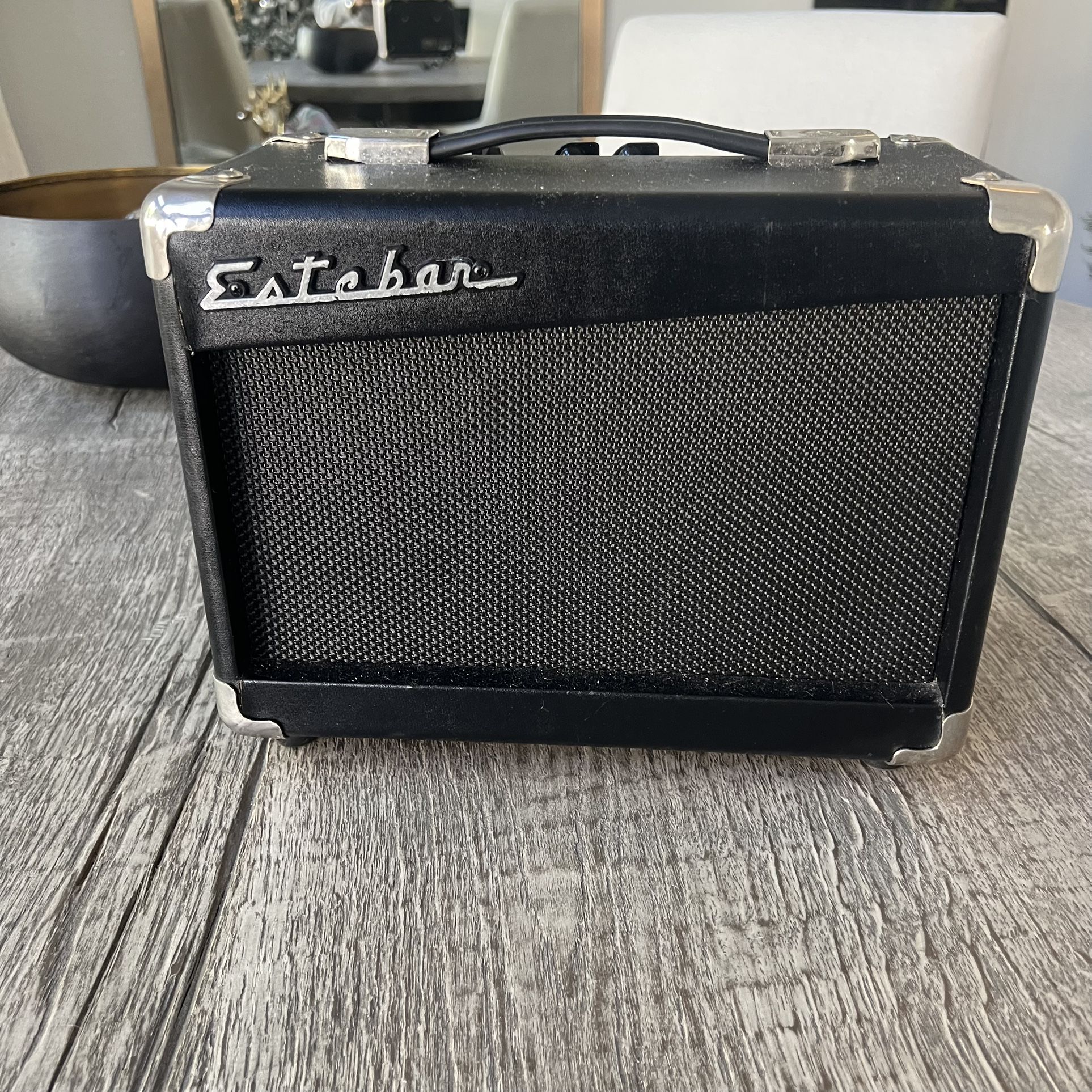 Esteban Guitar Amplifier G-10 2007 Works Great