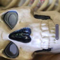 12 Ft Skelly Used Once Led Lights 