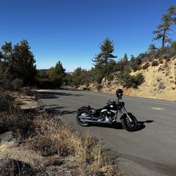 2016 Harley Davidson Softail