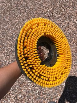 Four scrubber bristle