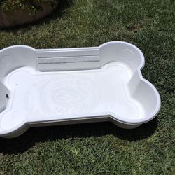 Dog Pool