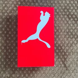 Limited Edition 10th Anniversary Puma Ferrari Shoes -10.5