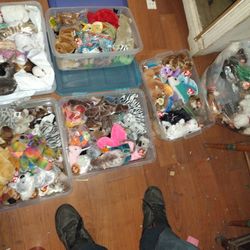 Beanie Babys 