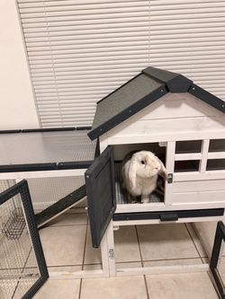Indoor wooden rabbit hutch