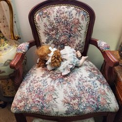 Antique Italian Chairs