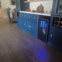 Mini Freezer 