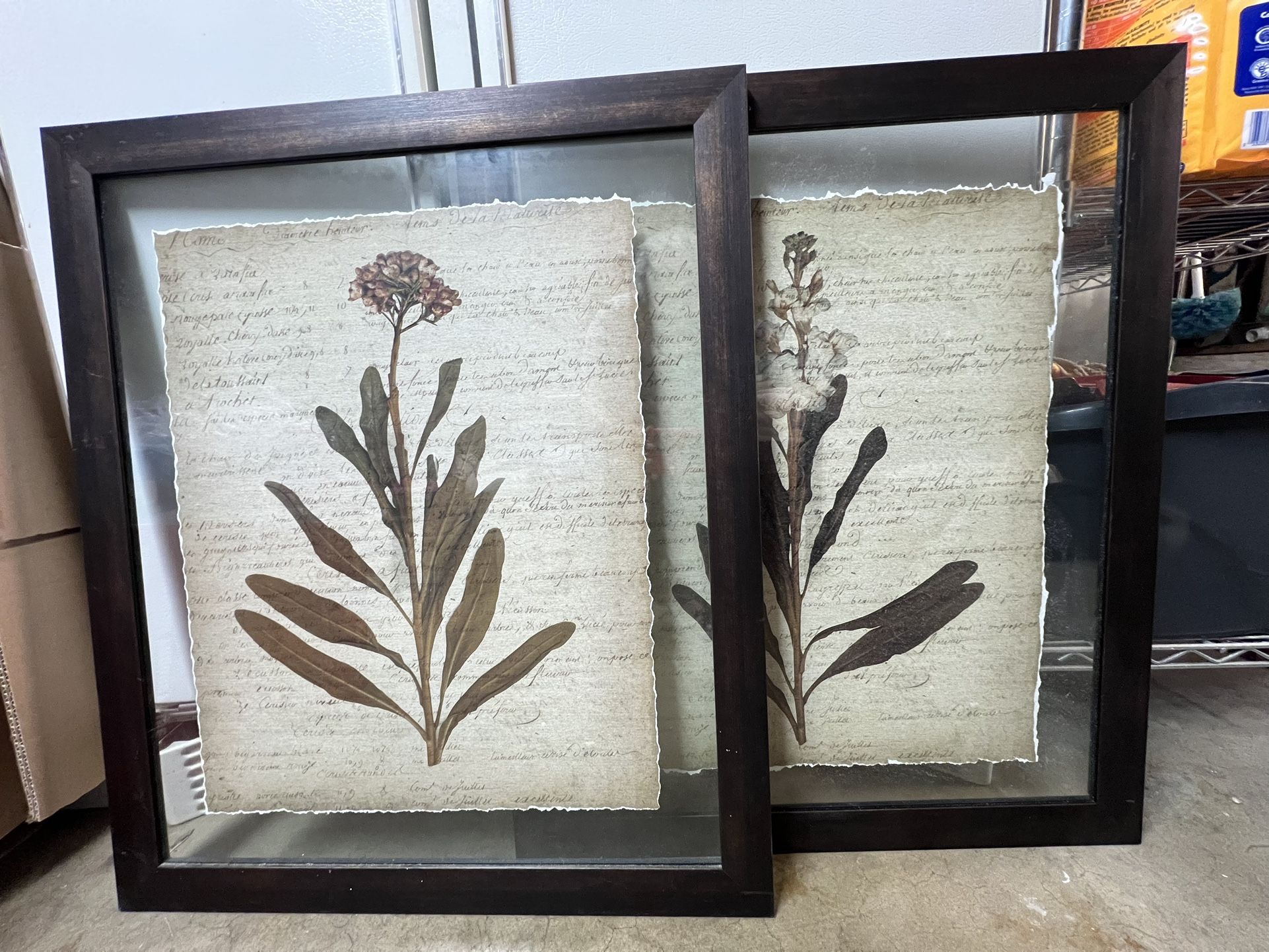 Set Of 2 Pictures (wall Art)