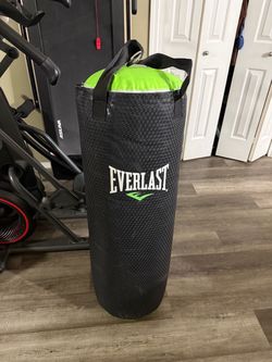 Punch bag by Everlast $100 obo
