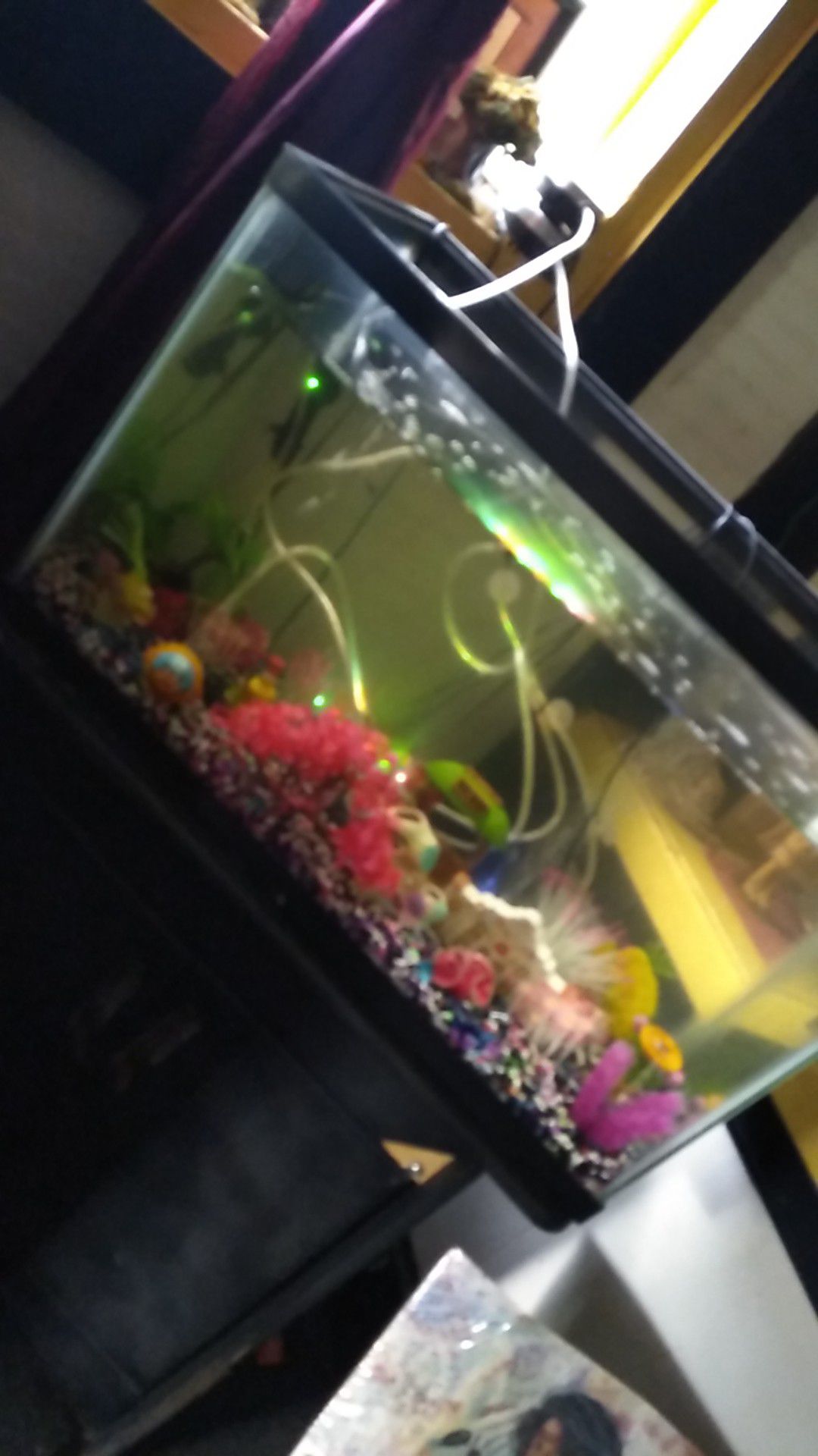 40gal fish tank and stand