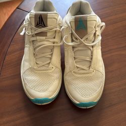 Nike Basketball Shoe - 10.5. Clean Barely Worn. Inside Only