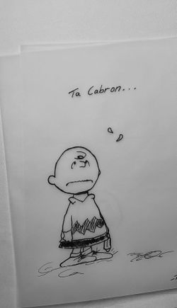 Peanuts Charlie Brown
