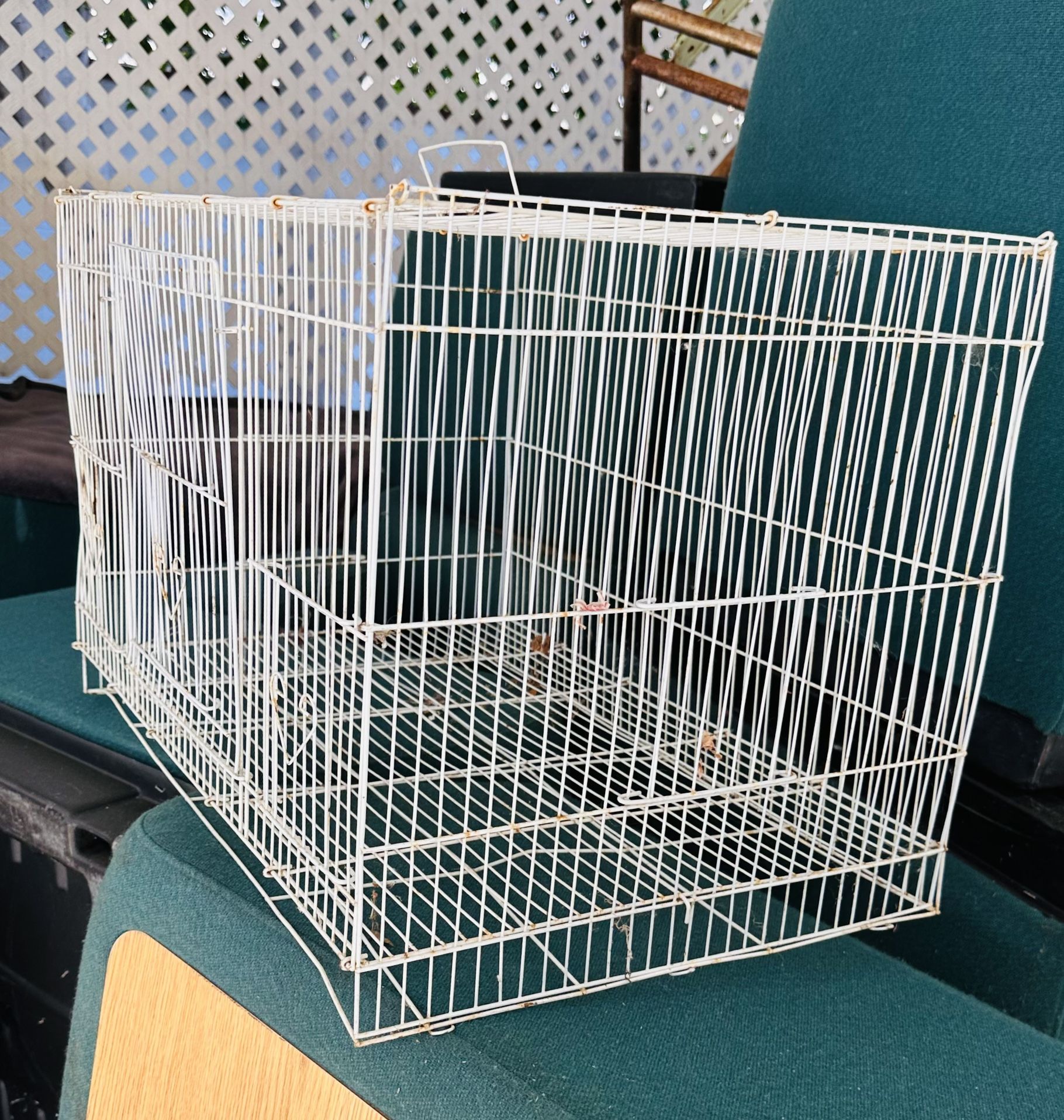 Birdcage ~ Portable Metal Travel or Veterinary Collapsable Parrot Bird Carrier Beaks Proof Cage with Stainless Steel