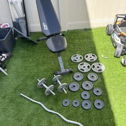 Adjustable Bench, Dumbbells, Barbells, Weights