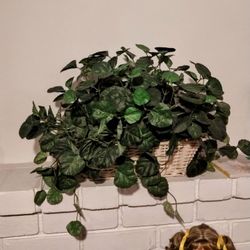 Artificial Plant..Size Med..Good Condition!