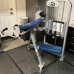 Cybex VR2 Arm Curl 