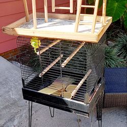 Bird Cage 🐦  And Play Station 