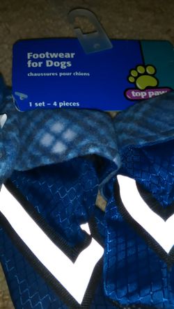 Cerritos..dog footwear